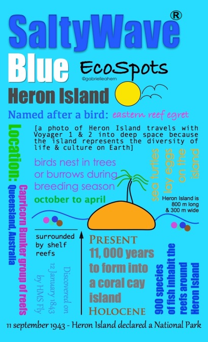 InfoGraphic with a description of Heron Island by Gabrielle Ahern